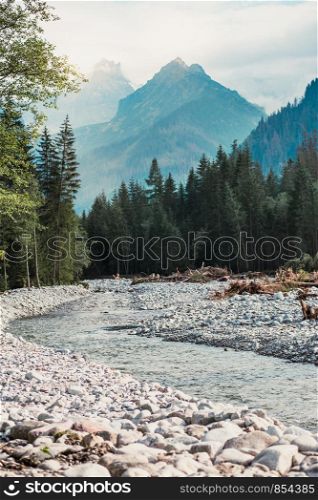 Mountain river valley landscape. Natural scenery of the mountain stream, pine trees and mountain peaks in Tatra Mountains