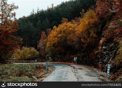 Mountain road crossing a forest with autumn colors