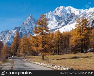 Mountain road in fall. In background larch trees and the snowy peaks of Mont Blanc - Courmayer, Val d&rsquo;Aosta, Italy, Europe.