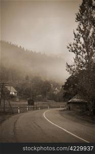 mountain road in the Carpathians. turn in the road