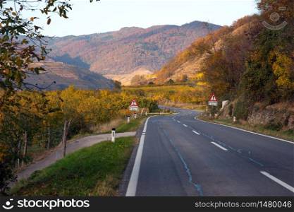 Mountain road - road through the vineyards at sunset. Wachau Valley