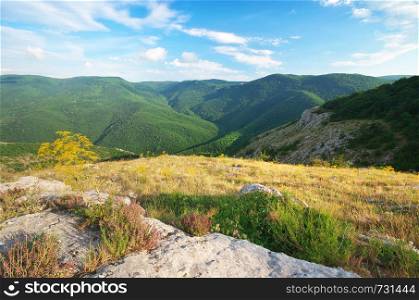Mountain spring landscape. Composition of nature.