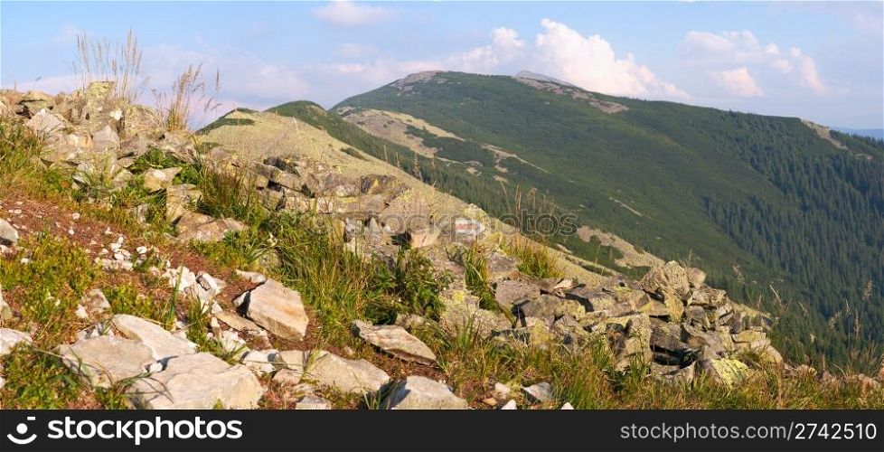 mountain stony panorama (Gorgany region of Carpathian mountains, Ukraine). Five shots composite picture.