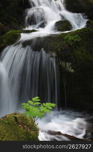 Mountain stream