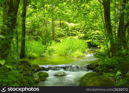 Mountain stream