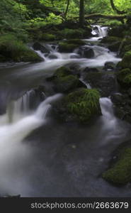 Mountain stream