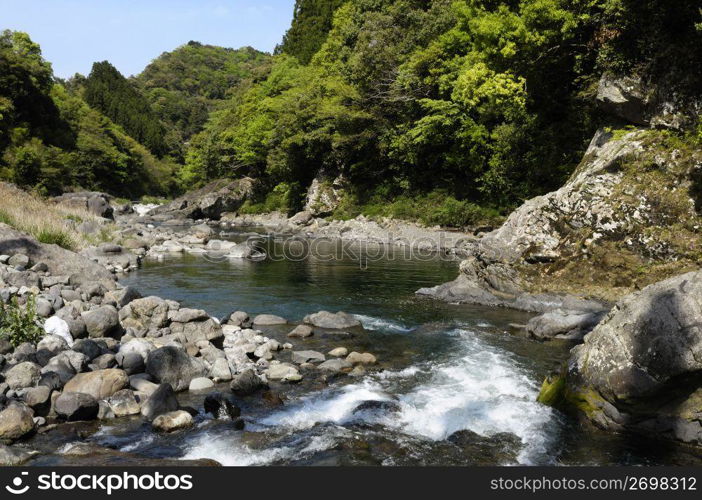 Mountain stream