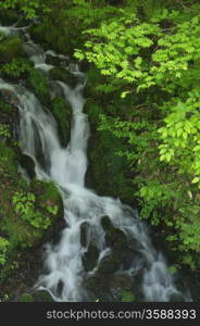 Mountain stream