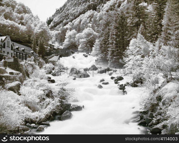 Mountain stream