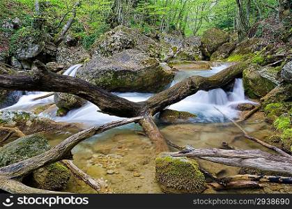 Mountain stream flows among stones in wood