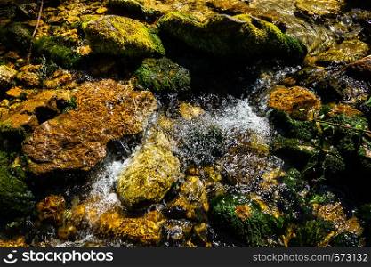Mountain stream on sunny day. River in forest with green banks