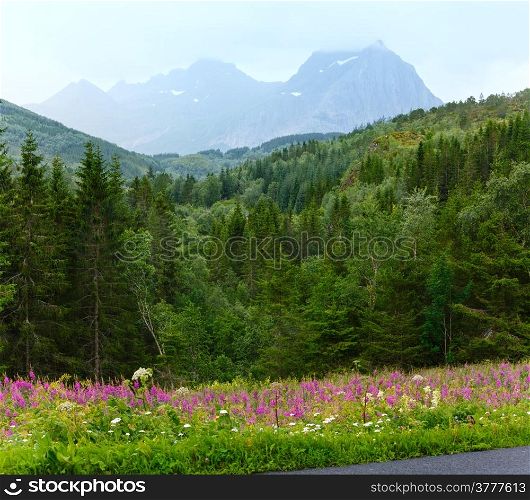 Mountain summer cloudy view with flowers in front (Norway)