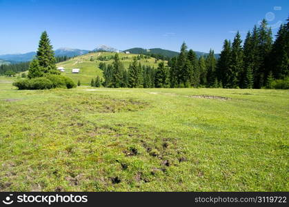 mountain summer landscape with blue sky