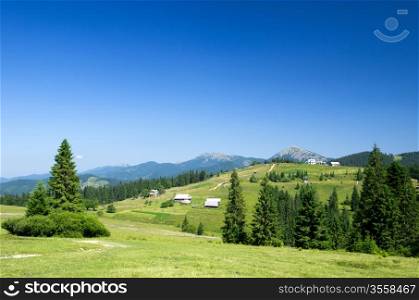 mountain summer landscape with blue sky