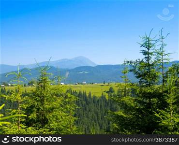 mountain summer landscape with blue sky