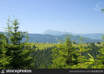 mountain summer landscape with blue sky