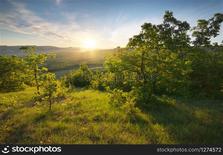 Mountain sunrise landscape. Sun and tree.