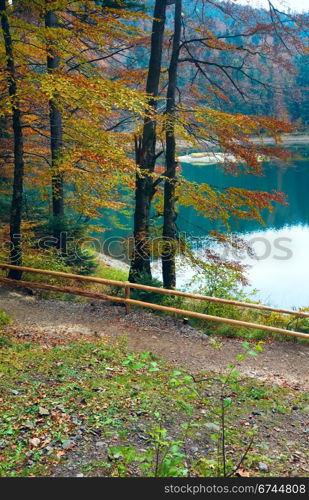 Mountain Synevir lake view through autumn tree twigs