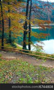 Mountain Synevir lake view through autumn tree twigs
