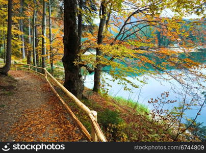 Mountain Synevir lake view through autumn tree twigs