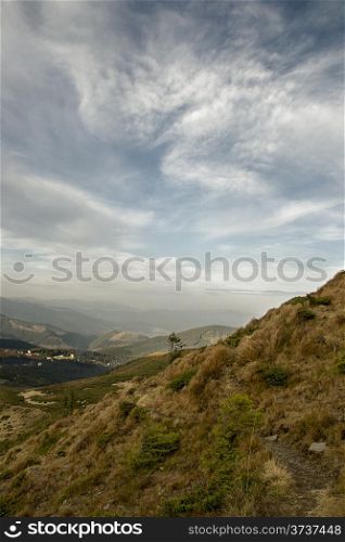 mountain track and tree on a mountain slope