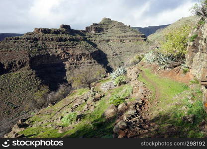 Mountain trail on the La Gomera island, Spain