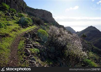 Mountain trail on the La Gomera island, Spain