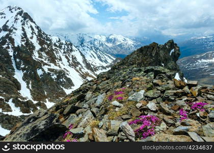 Mountain view from the Karlesjoch cable ski lift upper station (3108m., near Kaunertal Gletscher on Austria-Italy border) with alp flowers over precipice and clouds