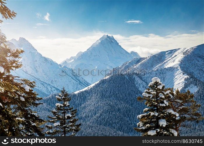 Mountain view through snow covered trees