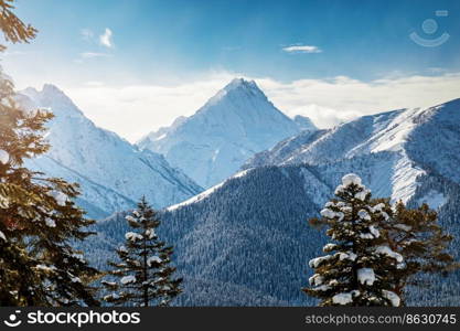 Mountain view through snow covered trees