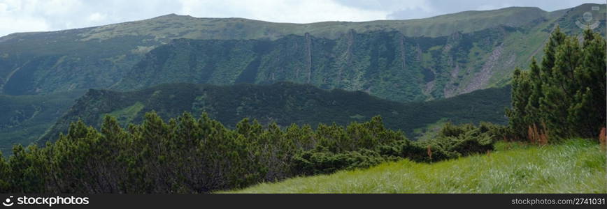 Mountain view with juniper forest and rocky cliff in distance (dull day). Three shots stitch image.