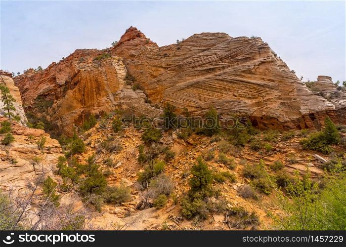 Mountain viewpoint Landscape in Zion national park in Zion Utah United States. USA American National Park Landscape travel destinations and tourism concept.