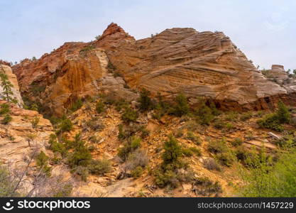 Mountain viewpoint Landscape in Zion national park in Zion Utah United States. USA American National Park Landscape travel destinations and tourism concept.