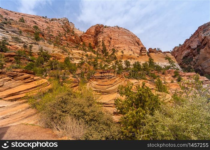 Mountain viewpoint Landscape in Zion national park in Zion Utah United States. USA American National Park Landscape travel destinations and tourism concept.