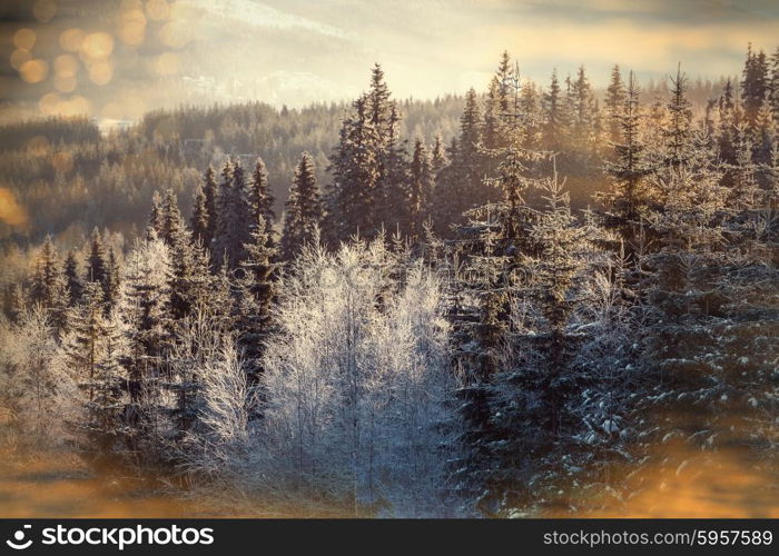 Mountain village in the Winter