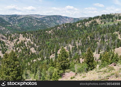 Mountain vista in northern New Mexico