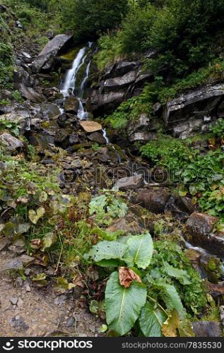 Mountain waterfall. Carpathian mountains, Ukraine
