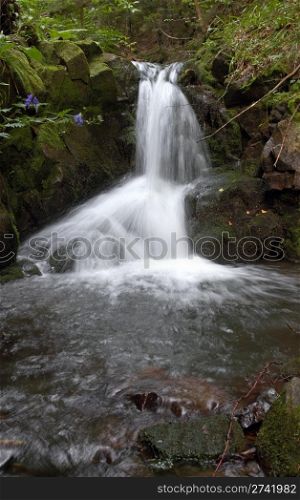Mountain waterfall in dark wild Carpathian forest