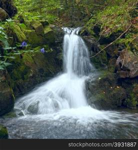 Mountain waterfall in dark wild Carpathian forest.