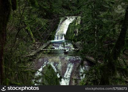 Mountain waterfall in the forest