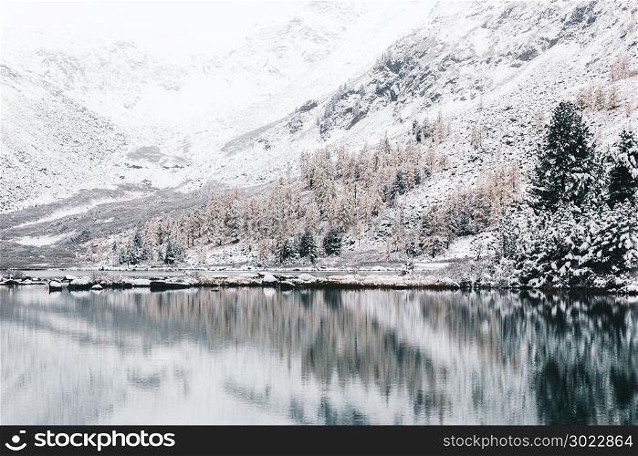 Mountain winter lake with the reflection of rocks in the water surface. High-altitude beautiful lake with clear mirror water. Purity beauty of the Altai nature.