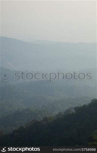 Mountain with fog Are covered in dense forest In the morning