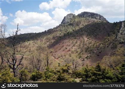 Mountain with trees in rural area of Turkey