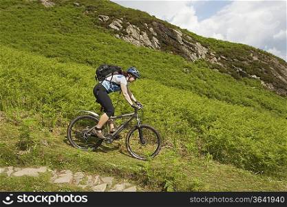 Mountainbiker Cycling Downhill