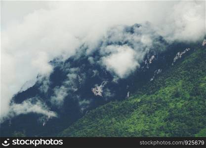 Mountainous rain fog and forest landscape