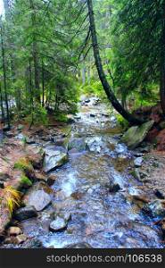 mountainous river in the forest. beautiful landscape with speed mountainous river in the forest of Carpathian mountains