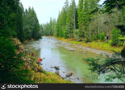 mountainous river in the forest of Carpathian mountains. beautiful landscape with speed mountainous river in the forest of Carpathian mountains