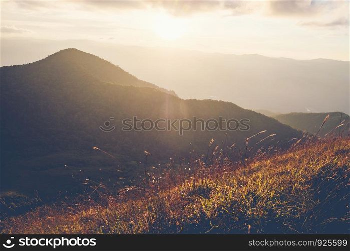 Mountainous Sunset and forest landscape