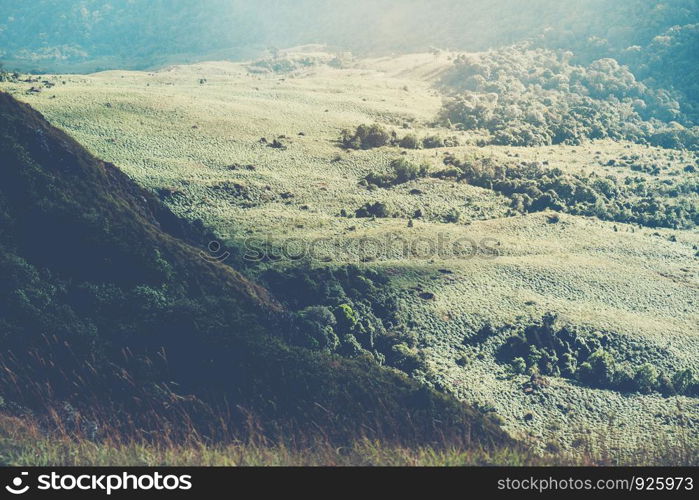 Mountainous Sunset and forest landscape