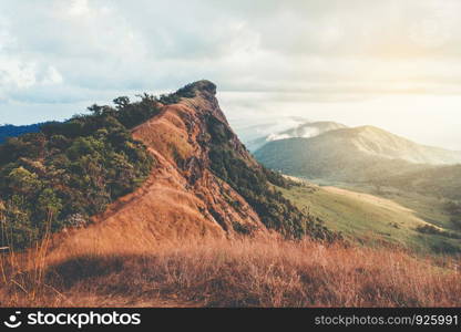 Mountainous Sunset and forest landscape